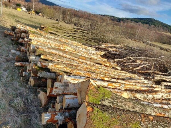 Grumes de bouleau châtaignier PEFC par 1 camion - 60M3