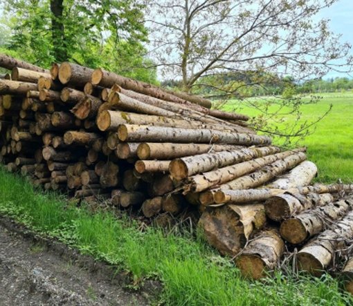 Grumes d'épicéa PEFC par 1 camion - 60M3